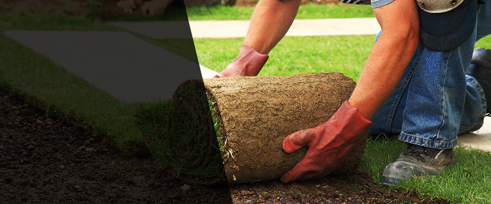 Pollock Pines Landscapers